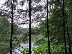 -东山湖公园