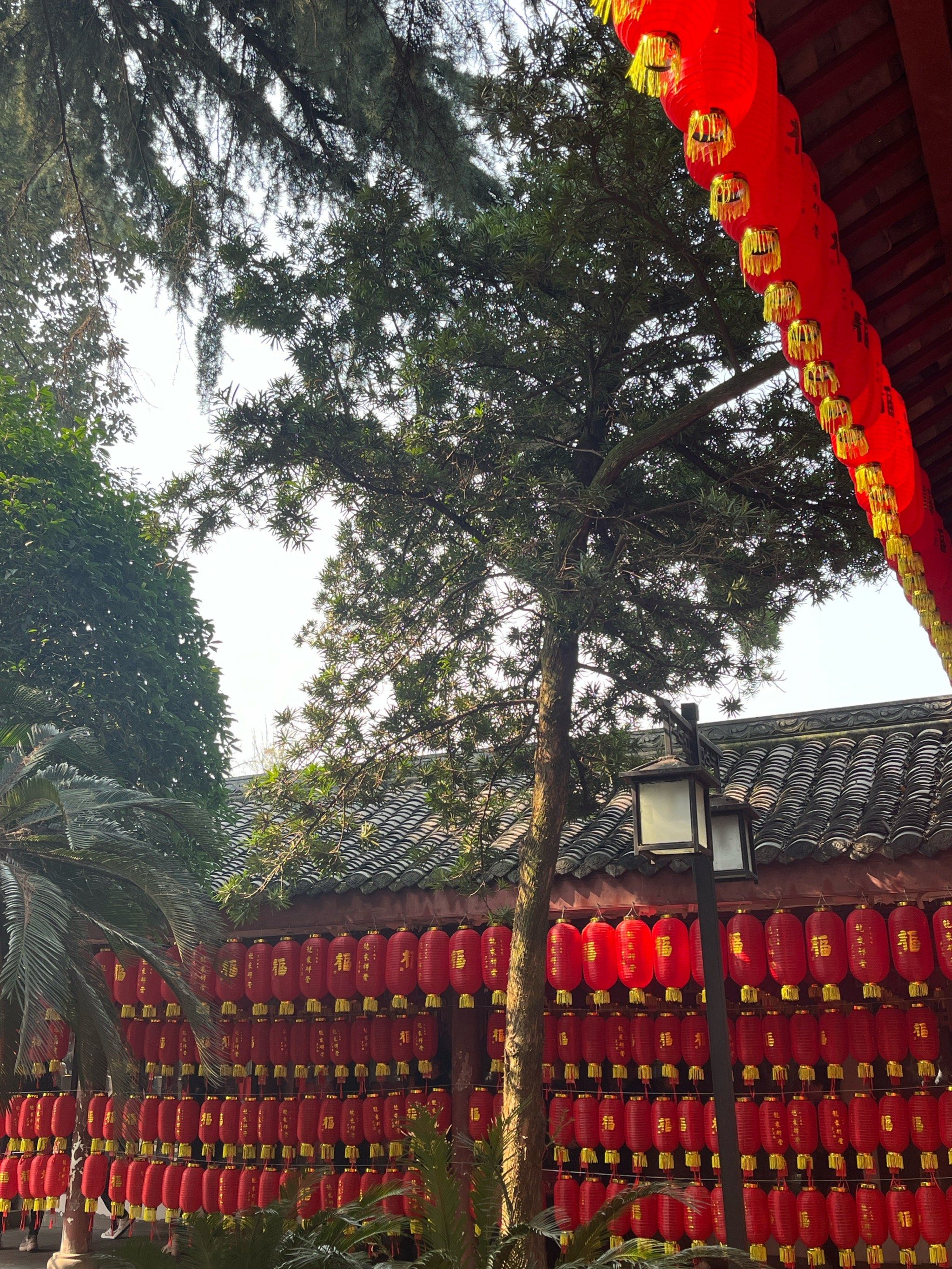 正月初四成都文殊院祈福