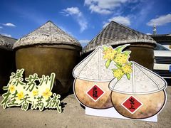 -苏州市吴中区光福窑上花果蜜饯厂