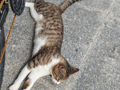 -山东大学(威海校区)