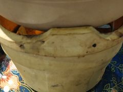 马来巴生肉骨茶-小娘惹厨房Little Nyonya(狮城有约上榜店)