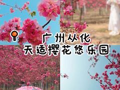 -天适樱花悠乐园