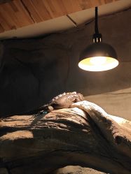 -Zoolung Zoolung动物主题公园(海信广场店)