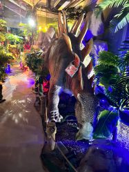 -恐龙探索乐园(磁器口店)