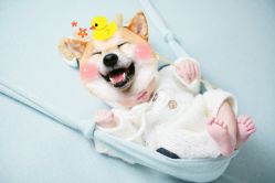 -小熊维尼高端儿童摄影(南山信和店)