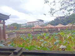 -枇杷园食为鲜火锅(南山店)