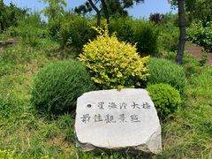 -星海湾跨海大桥