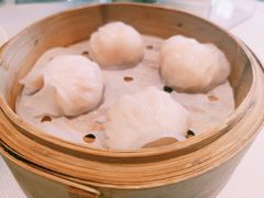 -春满园·早茶·粤菜·宴会(前海店)