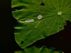 -南通博物苑-崇川人民公园