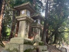 -奈良公园