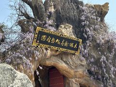 -大槐树寻根祭祖园