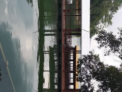 -广州市流溪河国家森林公园