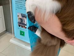 -骐奇宠物诊疗中心(南亭公路店)