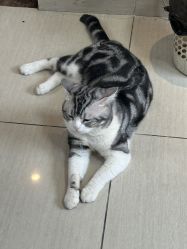 -长沙纹身· 龙堂刺青·三土师傅的店