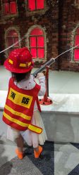-宝燕水乐园