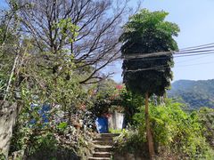 -梧桐山风景名胜区