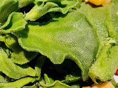 冰草-蟹榭·本帮江浙菜·蟹宴(五角场合生汇商场店)