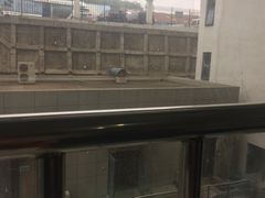 -山东大学齐鲁医院(青岛院区)