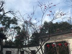 -杭州西湖柳莺里酒店·闻莺厅