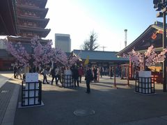 -浅草寺
