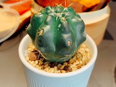 -BeauTea水仙(coco park店)