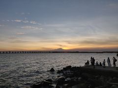 -宝安西湾红树林湿地公园