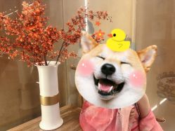 -盘子女人坊古装写真摄影(南京总店)