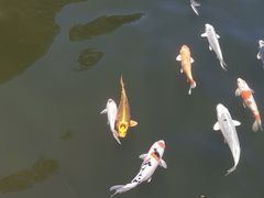 -参仙谷生态旅游度假区