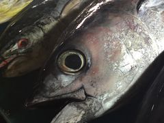 -金巴兰鱼市场