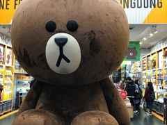 -line friends(明洞旗舰店)