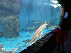 -多彩贵州城极地海洋世界