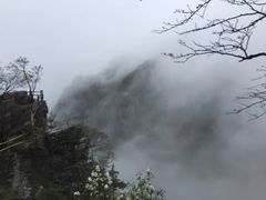 -牛背梁国家森林公园