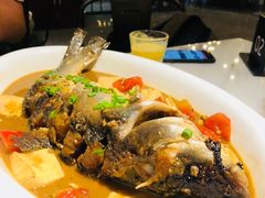 漓江啤酒鱼-大雄九老菜馆(南门桥店)