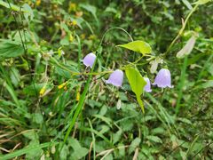 -云峰山自然风景区
