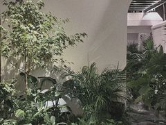 -漫笙舍Manse·咖啡·民宿