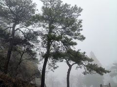 -含鄱口