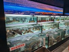 -胖东来生活广场(健康路店)