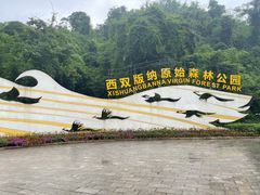 -西双版纳原始森林公园