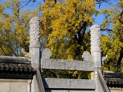 -苏州文庙(姑苏区)