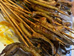 鳝鱼-晓靖轩烧烤(沙河风情店)