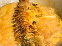 红烧黄河大鲤鱼-阿五黄河大鲤鱼(纬三路店)