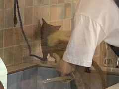 -宠颐生汉谟拉比宠物医院