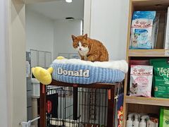 -四月宠物医院·猫专科·心脏专科·内科(转塘店)