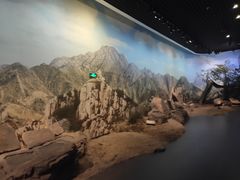 -包头博物馆