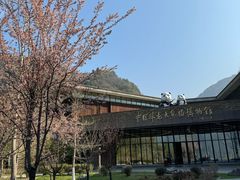 -卧龙中华大熊猫苑神树坪基地