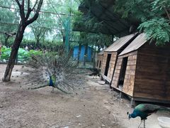 -静之湖湖畔餐厅