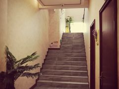 -宠爱国际动物医院· 猫科· 外科·中兽医(长白店)