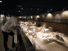 -洛阳周王城天子驾六博物馆