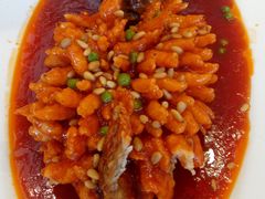 松鼠桂鱼-峨嵋酒家(石景山店)
