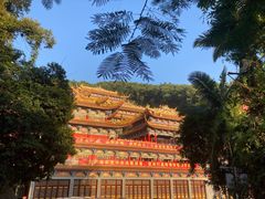 -东莞市大岭山森林公园